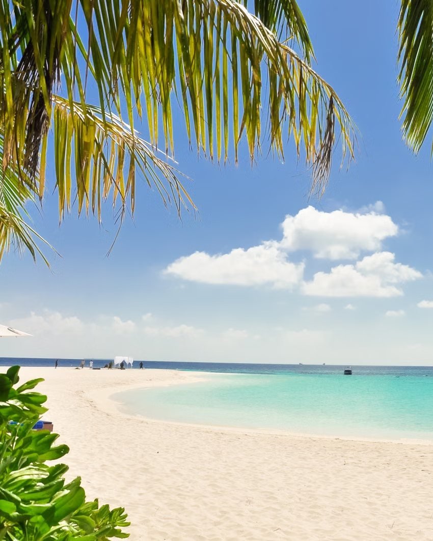 Palm fronds over a white sand beach and turquoise sea